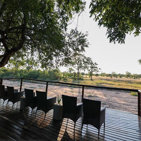Senalala Safari Lodge Klaserie Private Nature Reserve Εξωτερικό φωτογραφία
