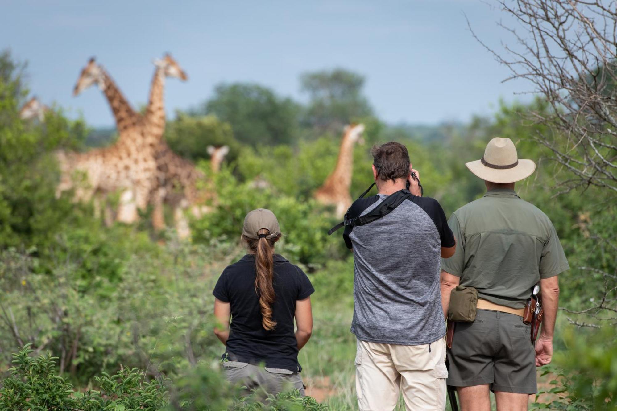 Senalala Safari Lodge Klaserie Private Nature Reserve Εξωτερικό φωτογραφία