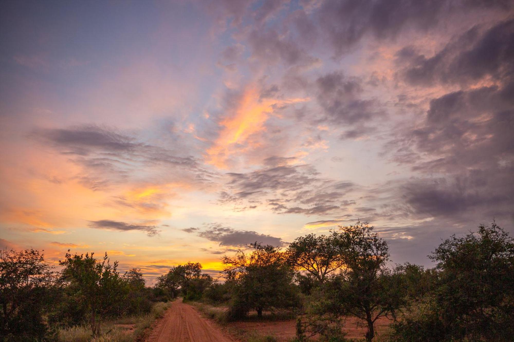 Senalala Safari Lodge Klaserie Private Nature Reserve Εξωτερικό φωτογραφία