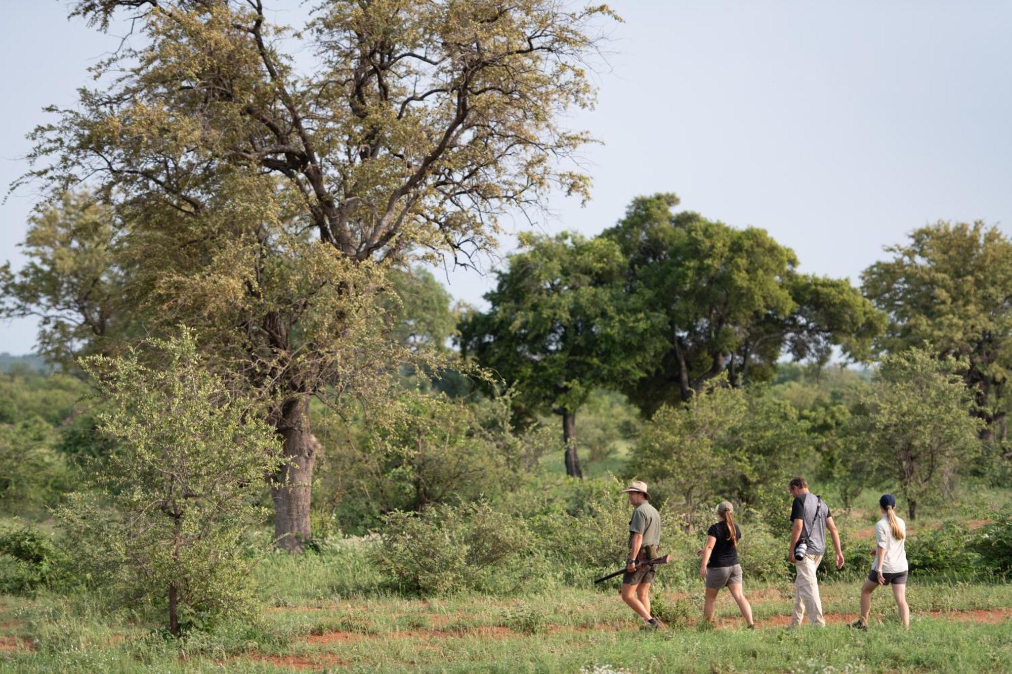 Senalala Safari Lodge Klaserie Private Nature Reserve Εξωτερικό φωτογραφία