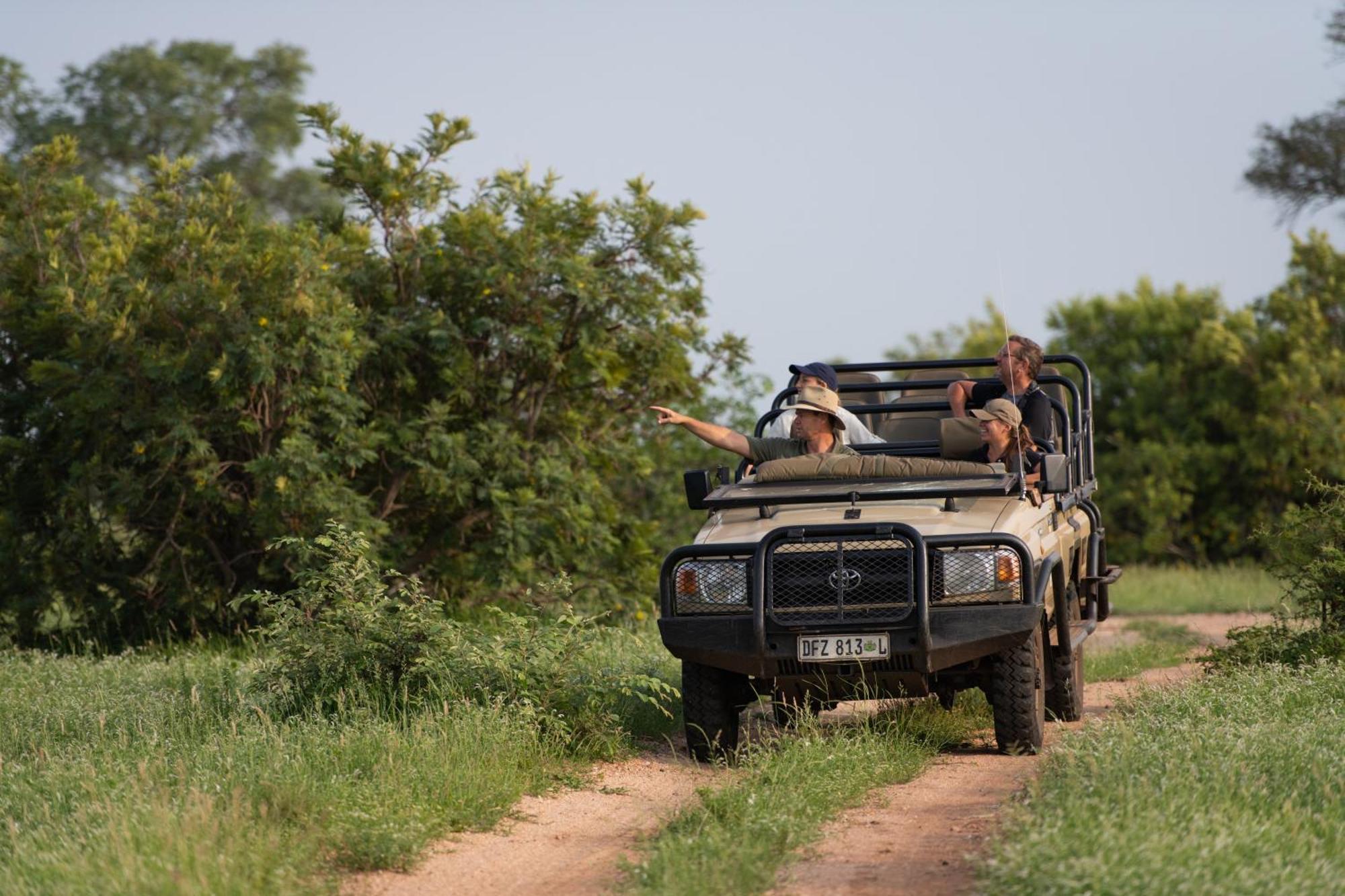 Senalala Safari Lodge Klaserie Private Nature Reserve Εξωτερικό φωτογραφία