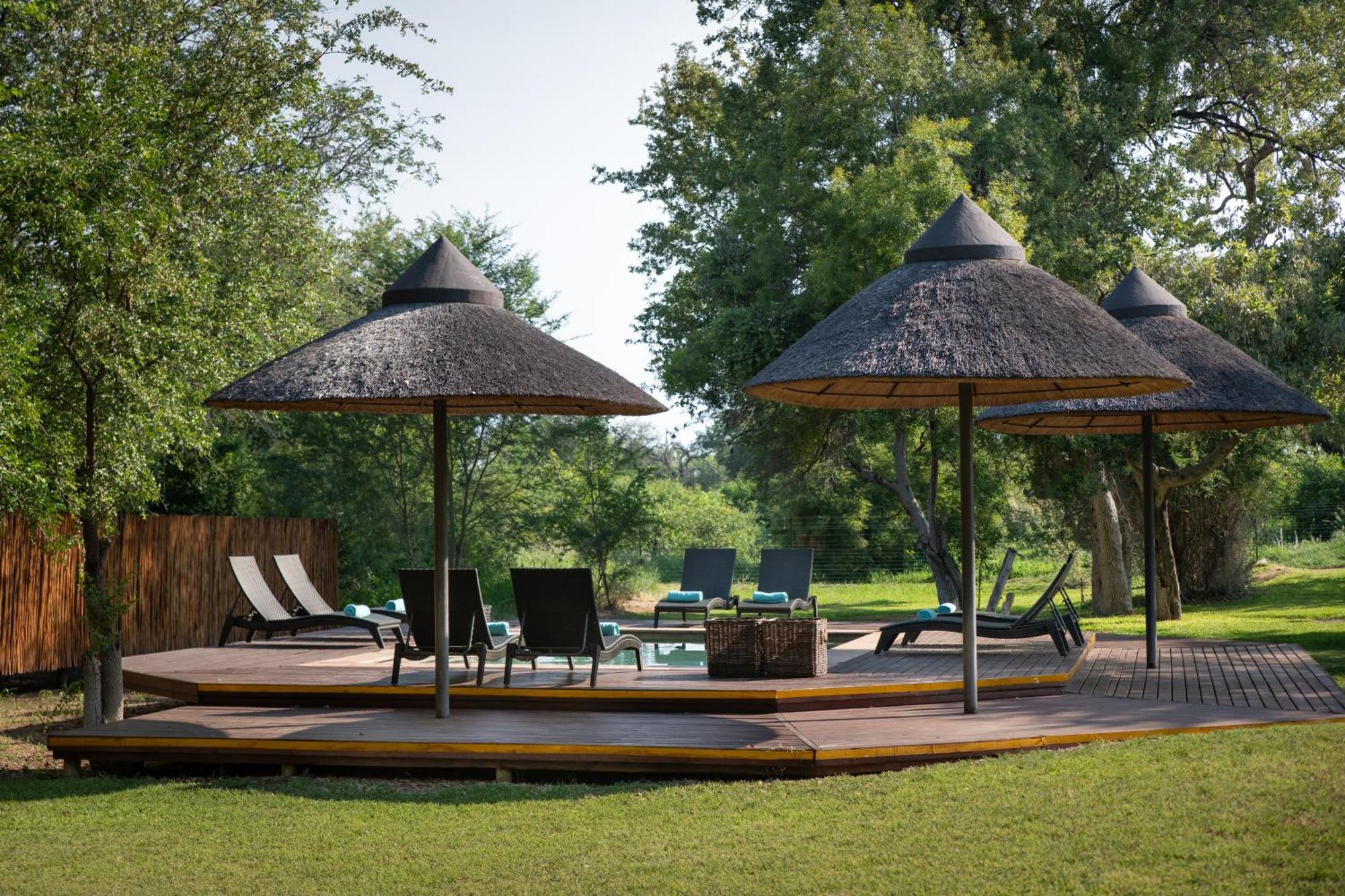 Senalala Safari Lodge Klaserie Private Nature Reserve Εξωτερικό φωτογραφία