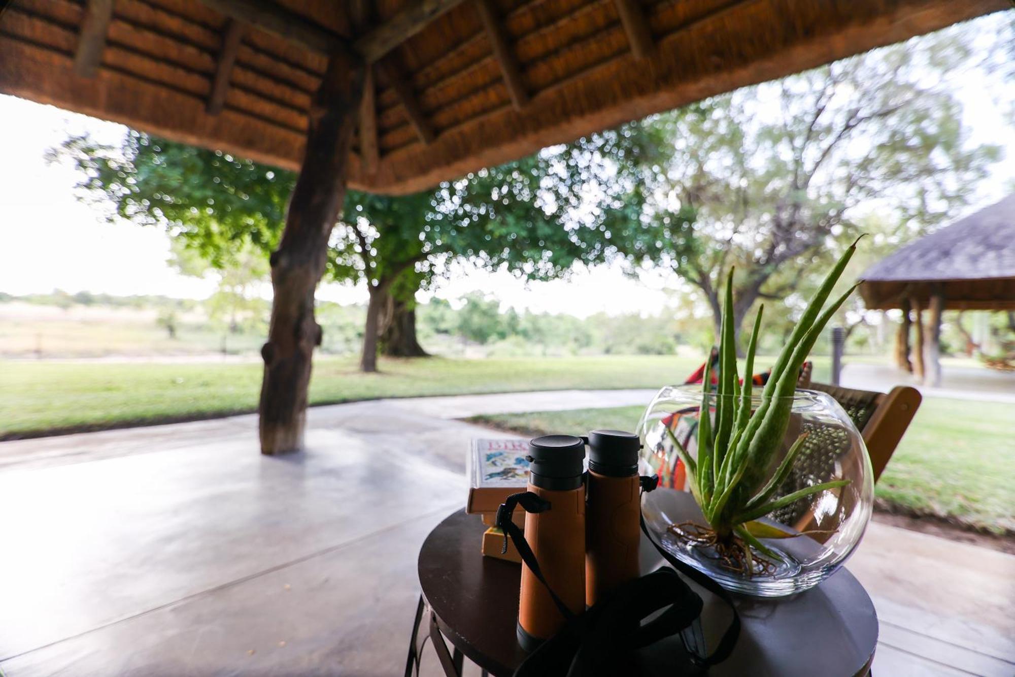 Senalala Safari Lodge Klaserie Private Nature Reserve Εξωτερικό φωτογραφία